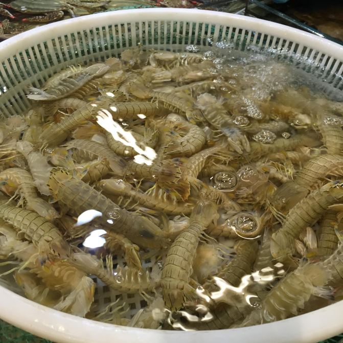 大连,再无往日的美食之美,唯有美食海鲜依旧-关于陕西作文大气的800字图片