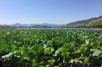杭州西湖天地周边住宿,西湖天地附近酒店预订