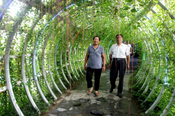 爱情岛 乙未年七夕南京巴布洛生态谷见证爸爸