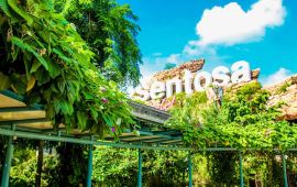 新加坡圣淘沙岛天气预报,历史气温,旅游指数,圣