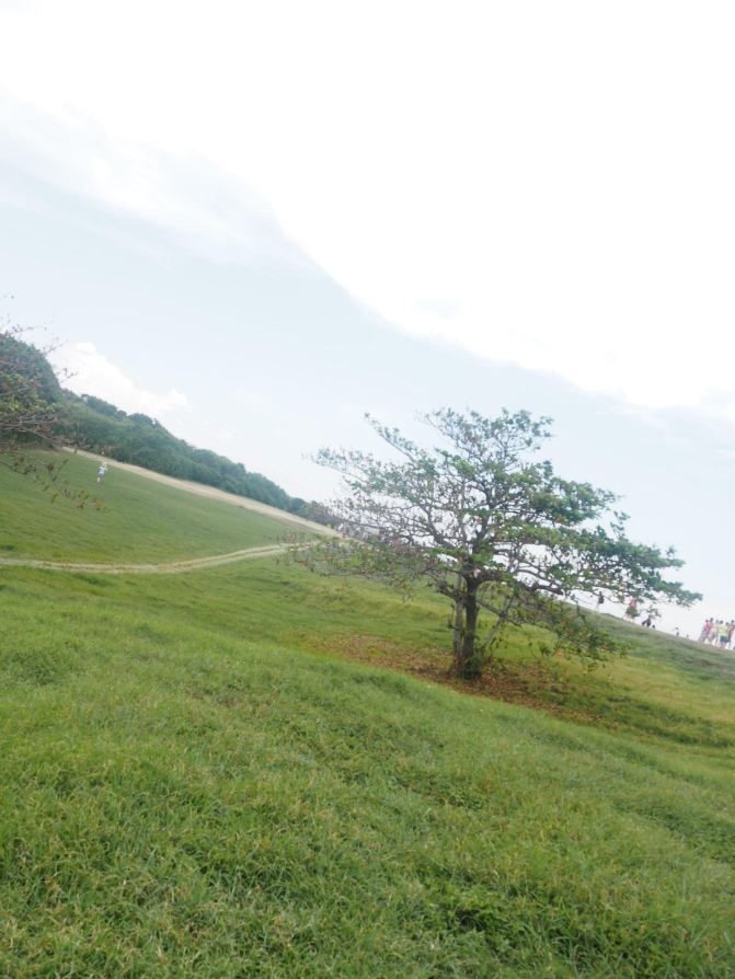 离台风最近的时刻--台湾8天环岛游 - 台北游记攻