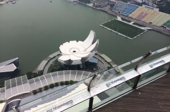 新加坡艺术科学博物馆,新加坡艺术科学博物馆