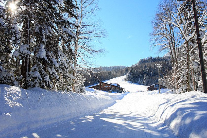 阿寒湖滑雪,阿寒湖滑雪场,阿寒湖(第3页)_大山谷图库