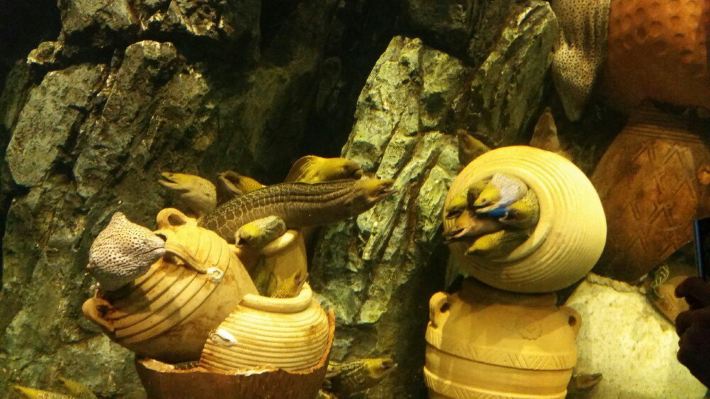 珠海长隆海洋王国 - 珠海游记攻略