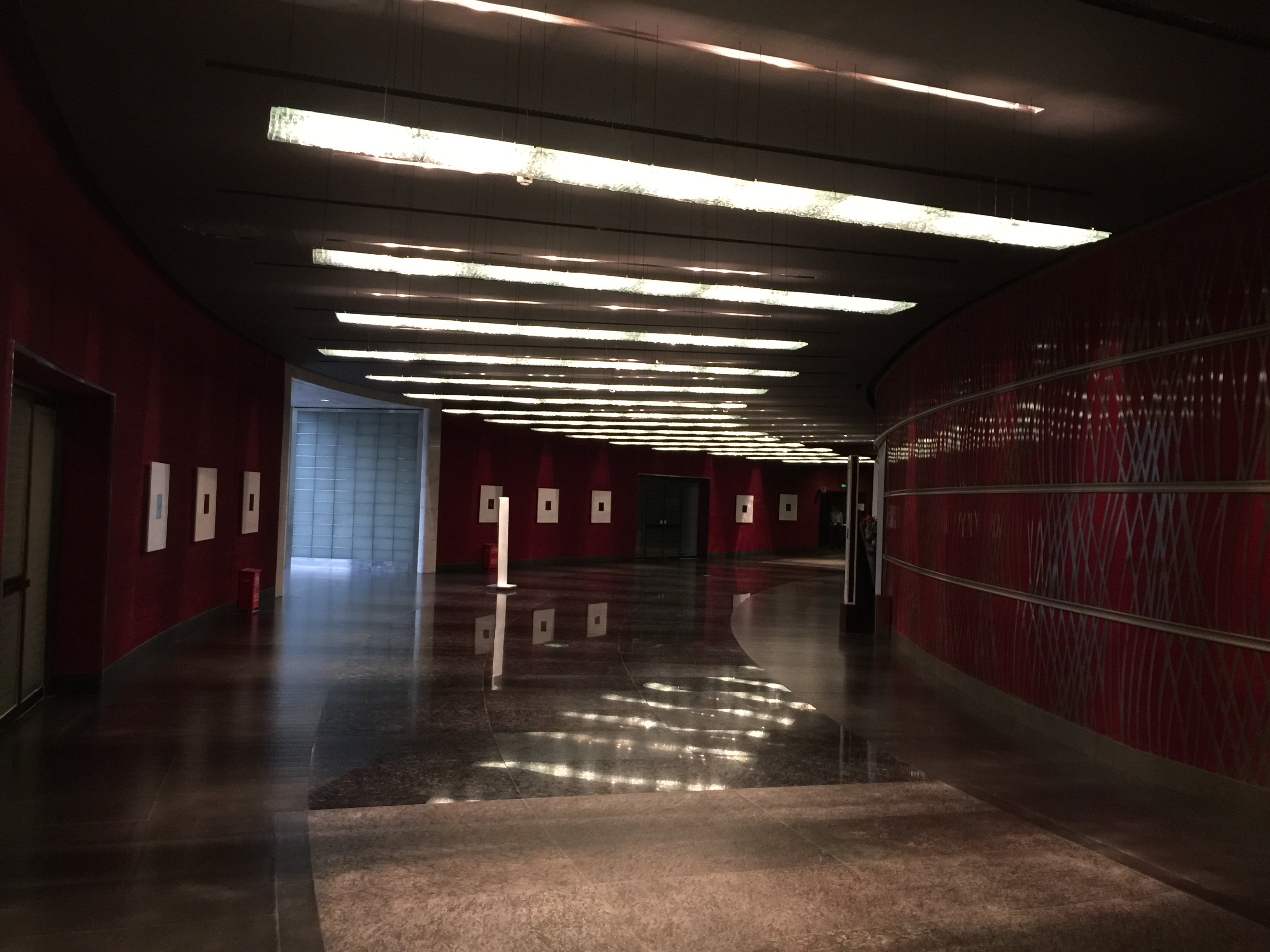才转场去的人民大会堂,中午再回国家大剧院