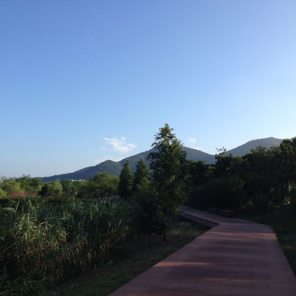 东钱湖马山湿地