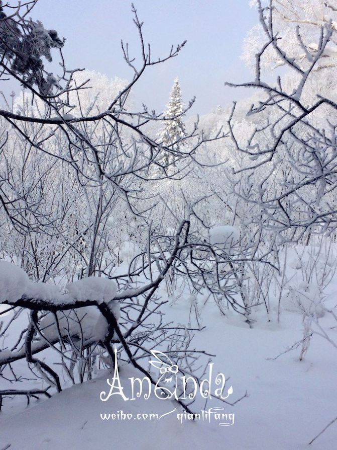 粉妆玉砌,银霜遍地。徒步穿越雪谷雪乡 - 哈尔