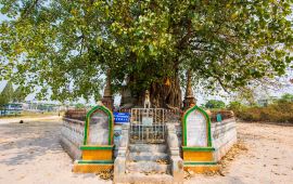 芒市天气预报,历史气温,旅游指数,芒市一周天气