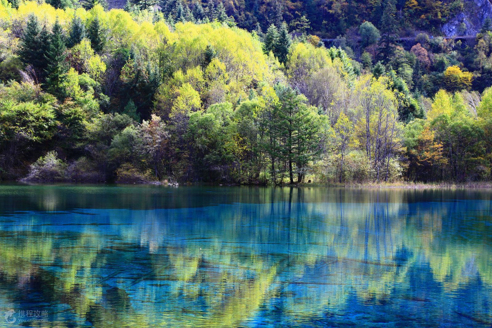 四川九寨沟5日4晚跟团游·都江堰+九寨沟+成