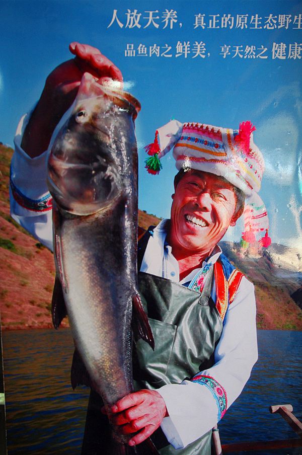 荣渔出品的鱼是三江河鲜汇一桌,食材来自云南澜沧江,广西