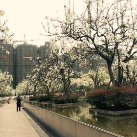北京经贸航空服务学院双流部门票,双流北京经