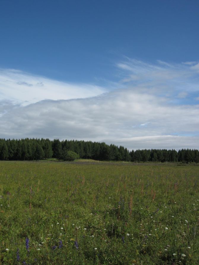 避暑山庄-木兰围场自驾三日游(天津出发) - 围场