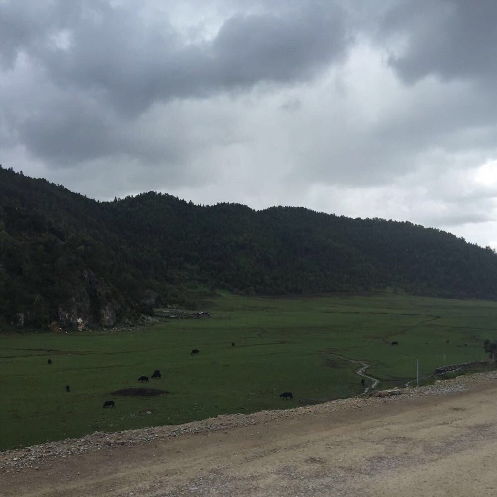 希梦旅行记 - 丽江游记攻略【携程攻略】