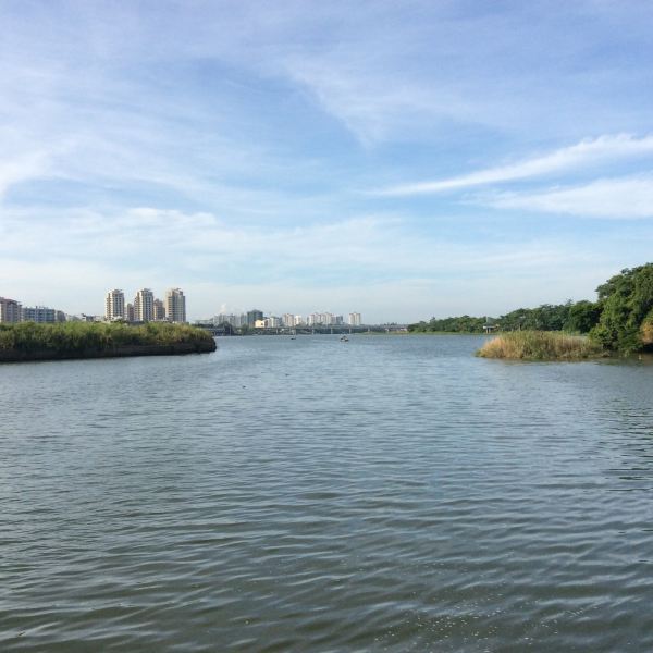 第二十九回 燕击长空平沙洲二出嘉积镇 水载万物奔海路再别万泉河