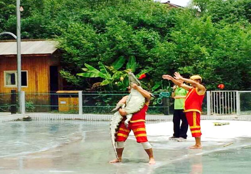 鳄鱼谷门票预订_鳄鱼谷门票价格_鳄鱼谷门票多少钱_玩