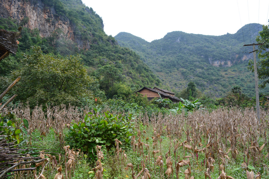 广南县董堡乡里标村