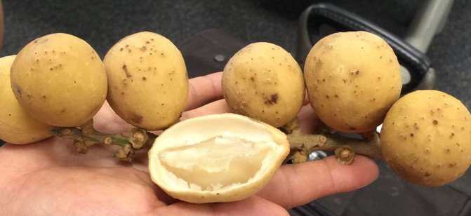 #我的2015#感受任性闲散时光-闺蜜四人泰国行