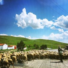 【携程攻略】乌兰察布辉腾锡勒黄花沟草原旅游