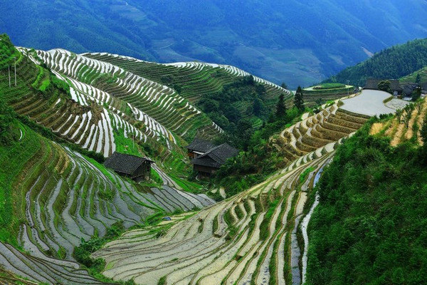 龙脊梯田—挂在天边的美景