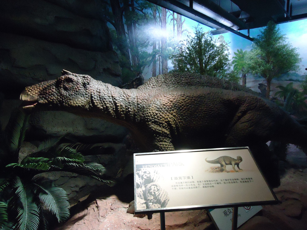 走进自然之北京自然博物馆-恐龙公园