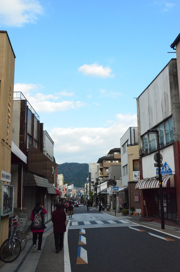 秋枫红似火,游客满京都(4)东福寺,宇治川,平等院