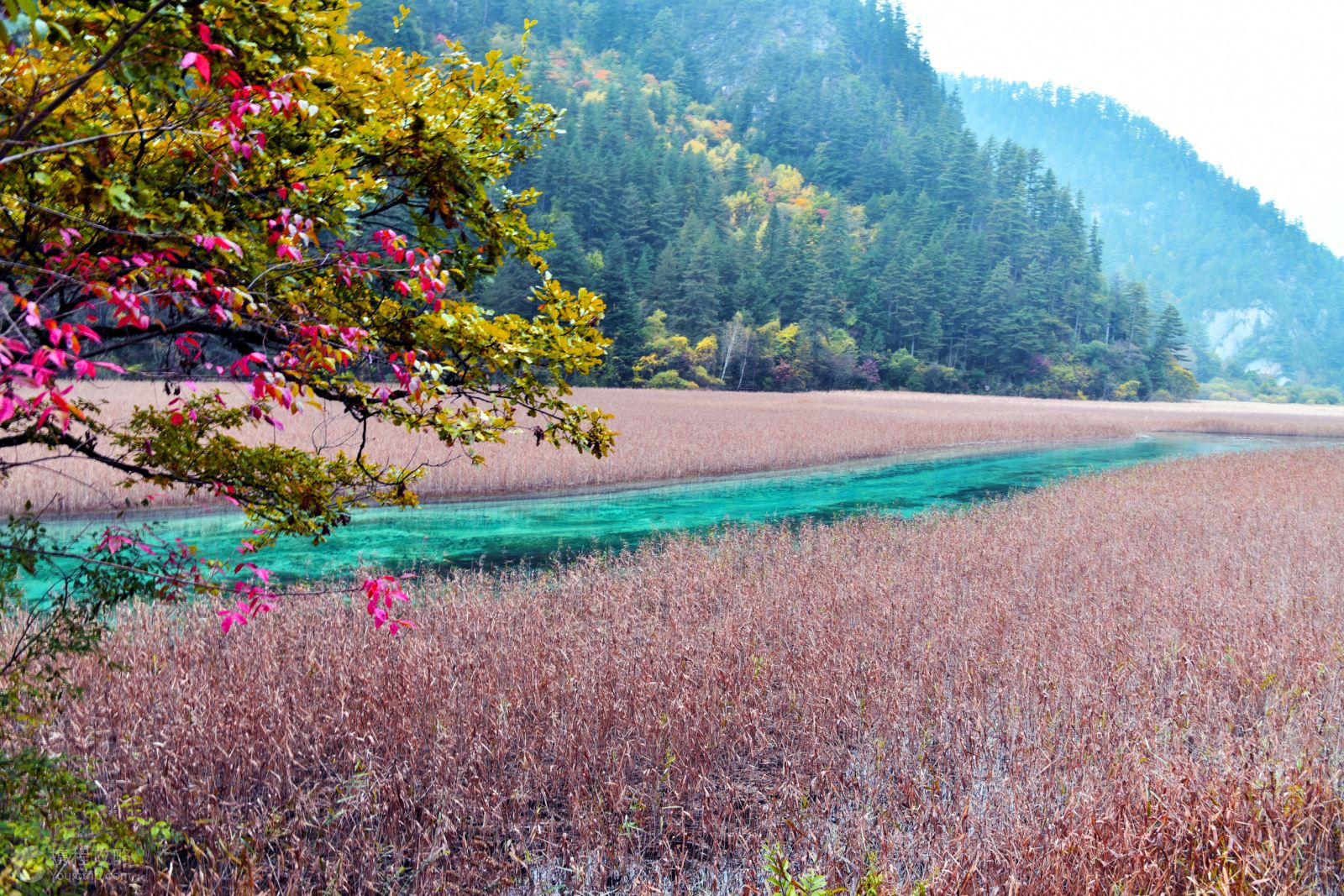 四川九寨沟牟尼沟3日2晚跟团游·仁智之旅 赠