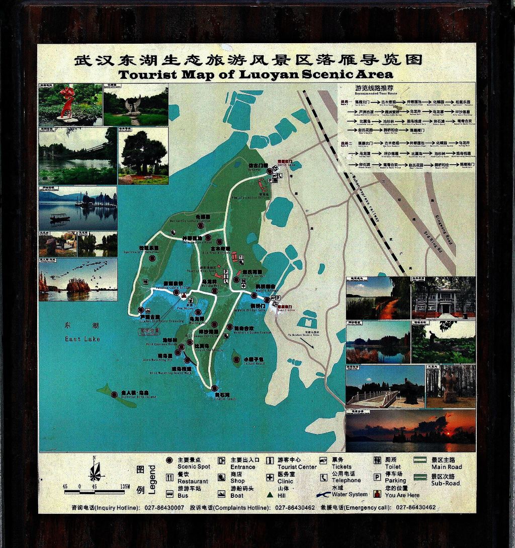 灵秀湖北:东湖落雁岛观荷 - 武汉游记攻略【携程攻略】