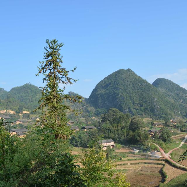 广南县董堡乡里标村