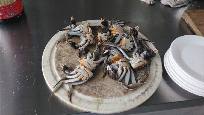 崇明农家乐包吃包住哪家最好 崇明农家乐一日