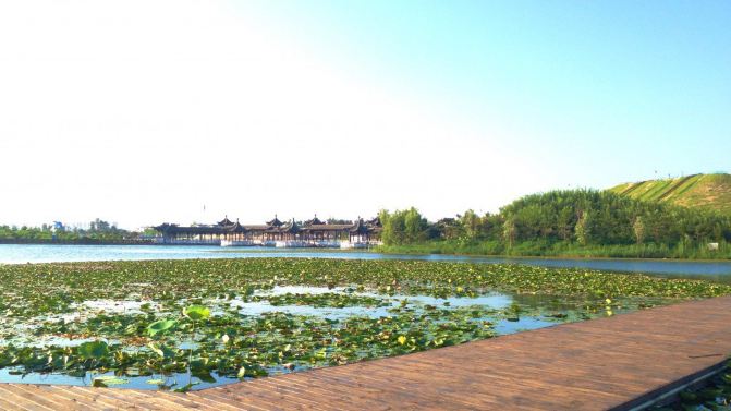 阜宁金沙湖风景区 - 金沙游记攻略