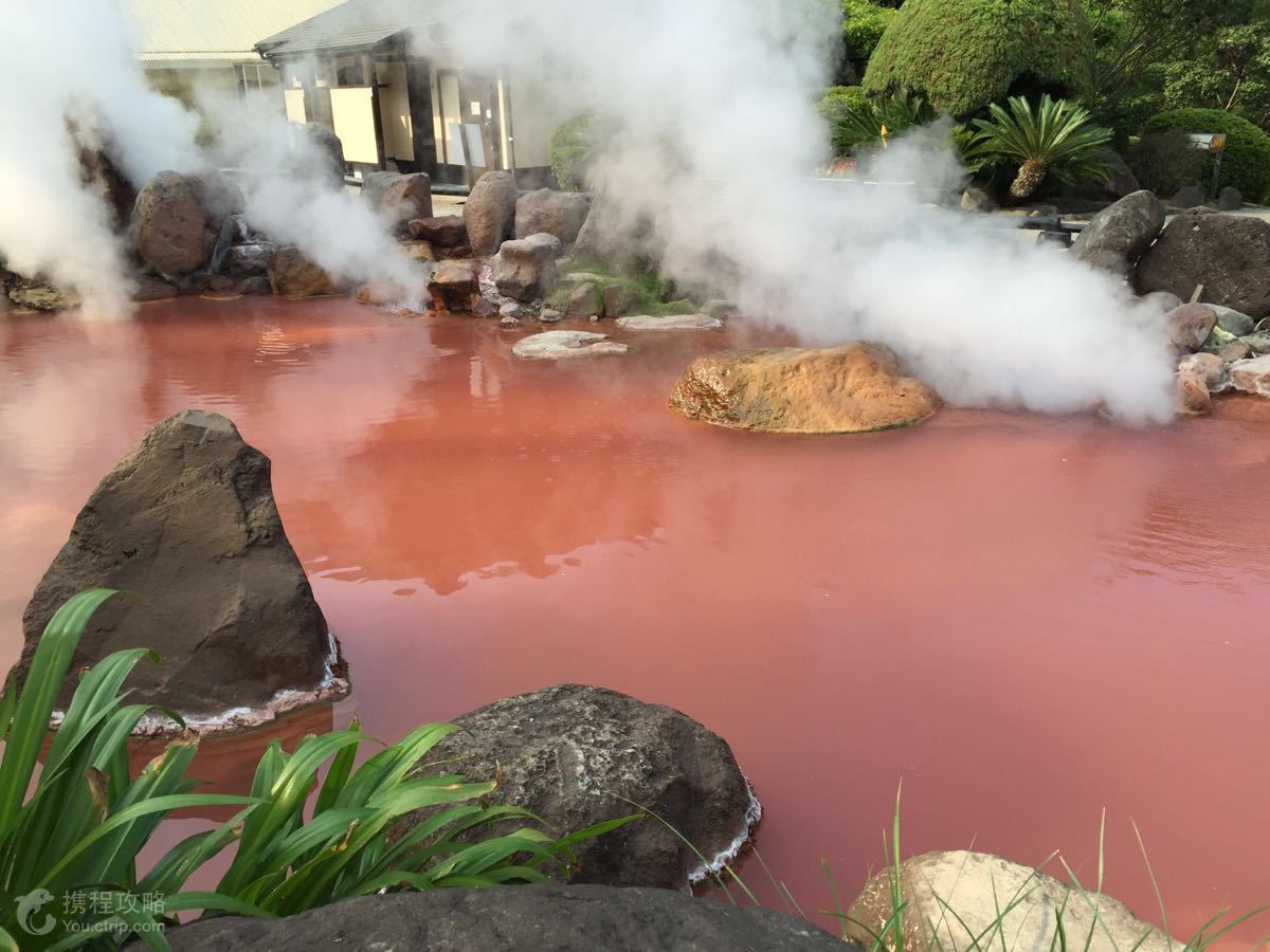 日本+东京+京都+大阪+箱根+别府市+福冈7日6