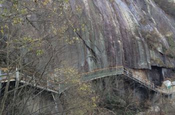 【携程攻略】商城黄柏山国家森林公园团购,黄