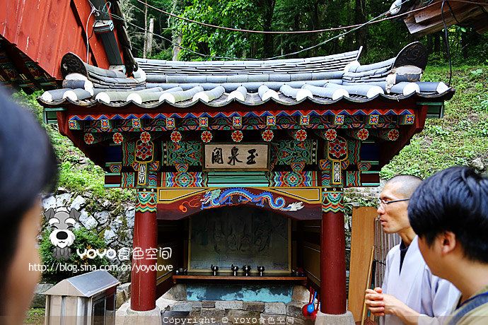 【韩国】固城郡玉泉寺 自然治愈寺院生活