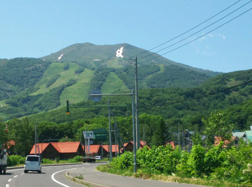 北海道的夏季 自驾游带娃