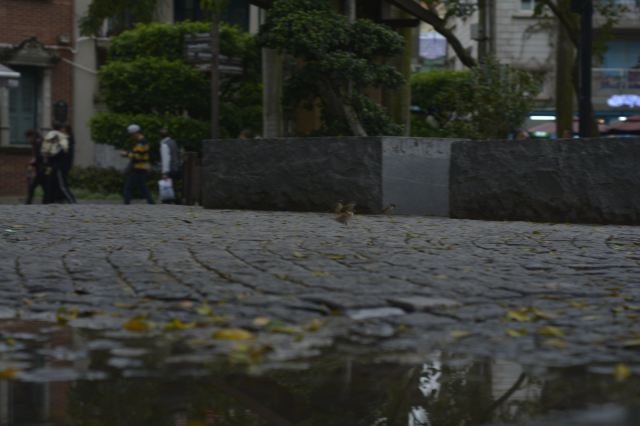 风吹过的下雨天,街道湿漉漉.