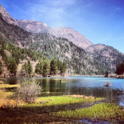 单人厦门成都九寨沟黄龙10日穷游深度游吃住