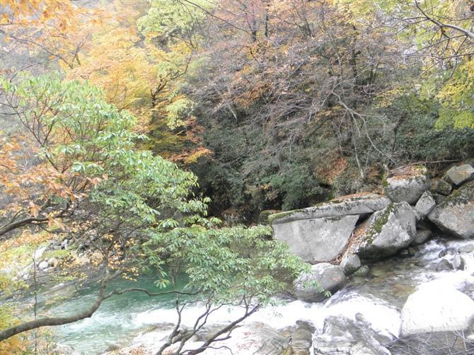 光雾山——四川巴中