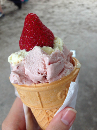 布里斯班公众假期-Ekka - 澳大利亚游记攻略