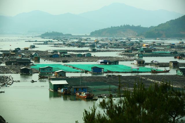 霞浦东安岛