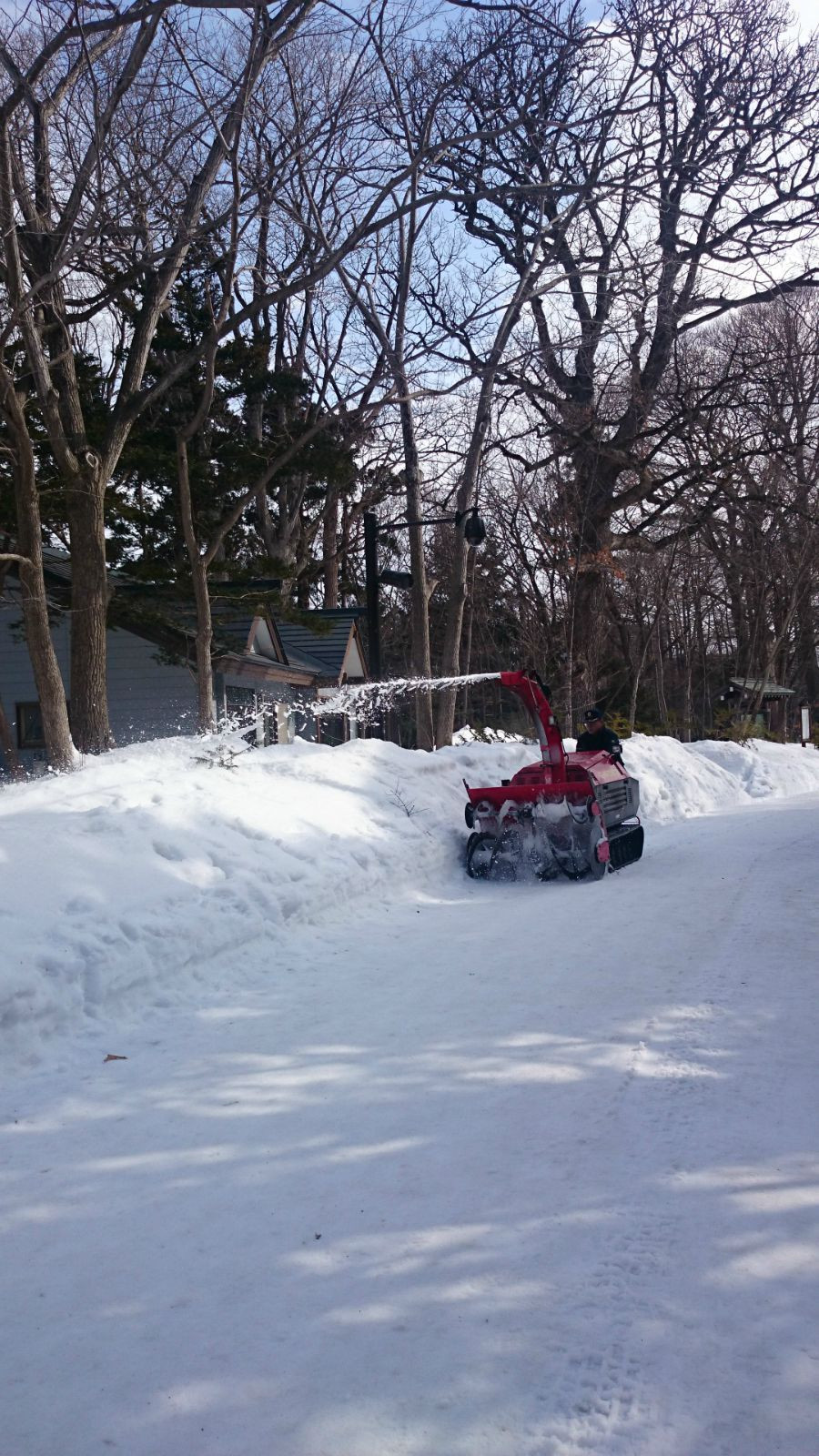 带着闺蜜逛北海道,何止是大雪(上)