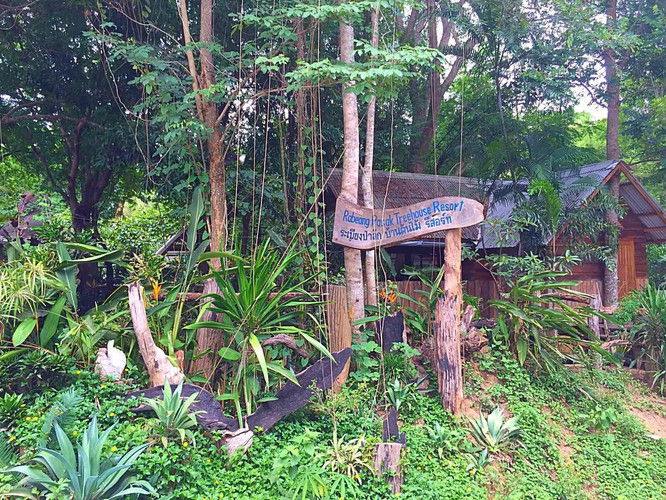           藏在热带雨林中的树屋