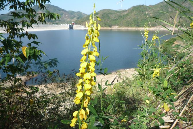 游遍海南63:三亚(崖州区)--南滨农场及大隆水库