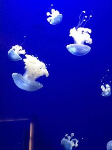 亚特兰大图片,亚特兰大风景图片,亚特兰大旅游