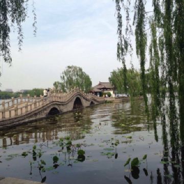 大明湖的夏雨荷_大明湖一年收入多少钱