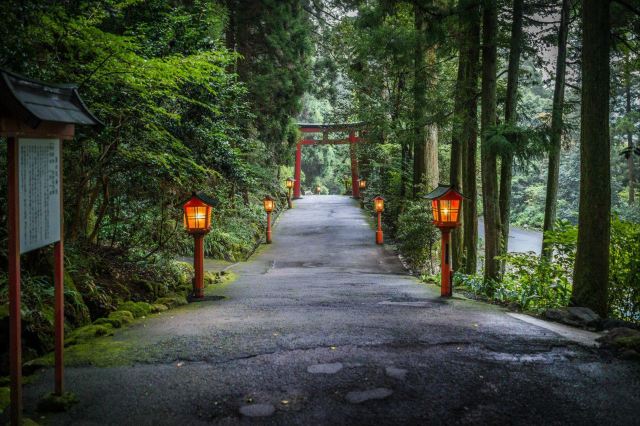 参观完想跟神社下山时候,天没完全黑,但是路旁的灯已经亮了. 箱根神社