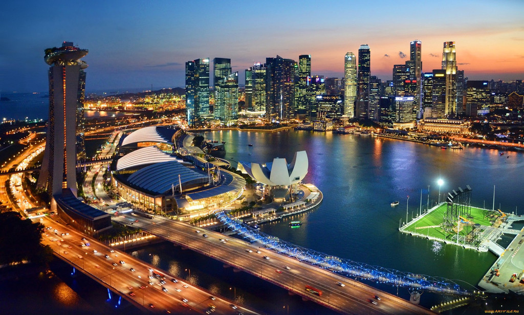 新加坡是一个多元民族,多元文化的移民社会,也因此汇集了世界上多种