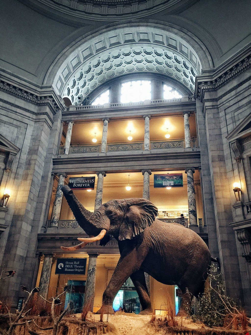 是世界上规模最大的自然历史博物馆之一,同时作为一个一年开放364天的