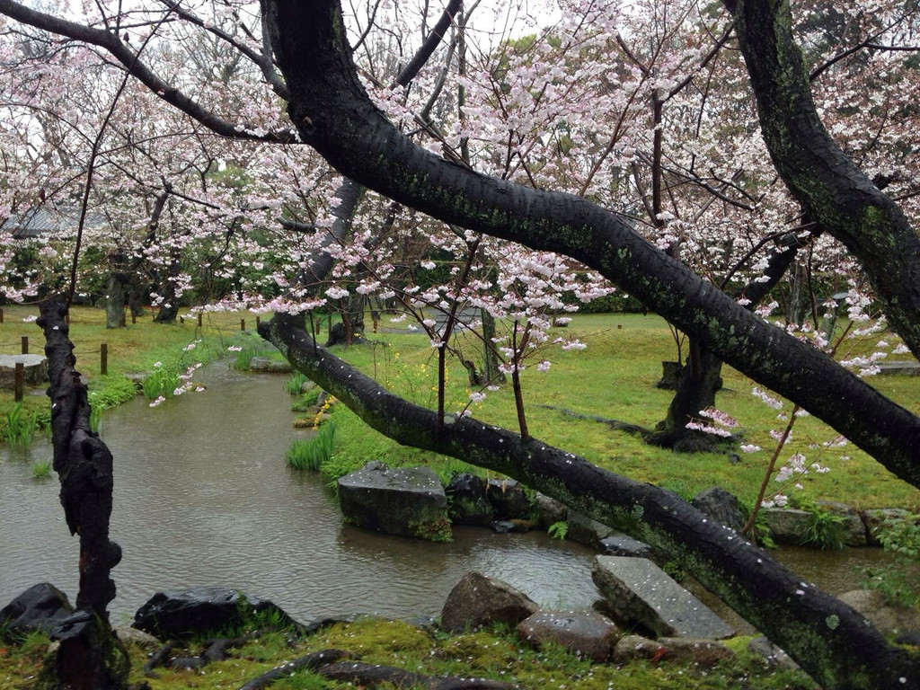 京都涉成园