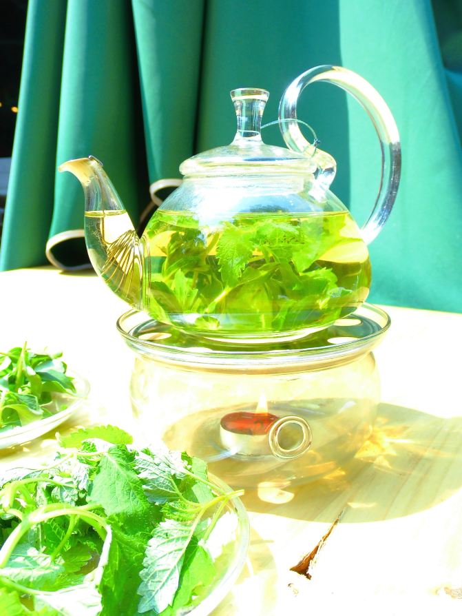 生活不只是眼前的苟且,还有诗和远方。 - 海口