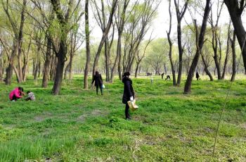 【携程攻略】柳树湾湿地公园门票,金湖柳树湾